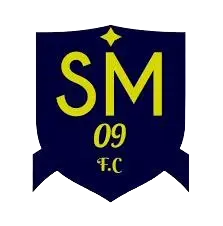 Escudo de club san martin 09